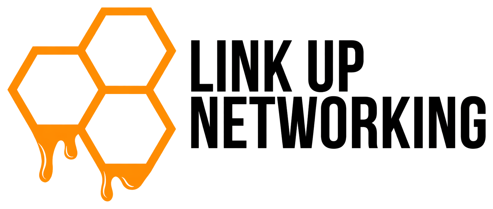 Link Up Networking logo