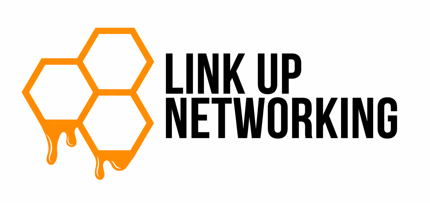 Link Up Networking logo